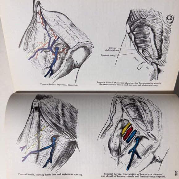 The Concise Grays Anatomy Book by C.H. Leonard AM MD Chartwell Books 1983  Omega - Picture 15 of 16